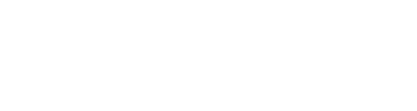 Olgun Automobile