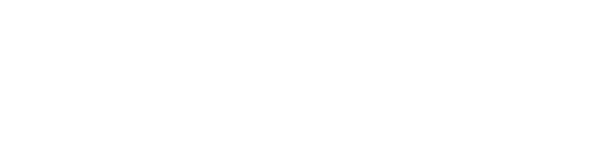 Technikbegleiter